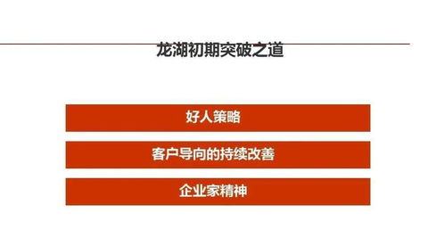 標桿龍湖 精細化管理在企業(yè)管理與運營中的實踐
